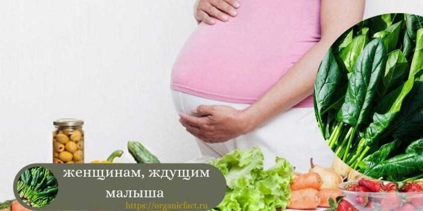 Щавель польза и вред для здоровья можно ли беременным кормящим мамам детям - скороспел