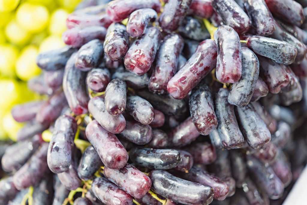 Описание экзотического сорта винограда "ведьмины пальцы"