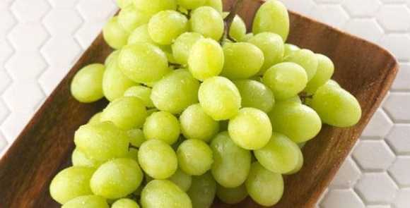 Особенности винограда сорта «ландыш» из селекции в. в. загорулько