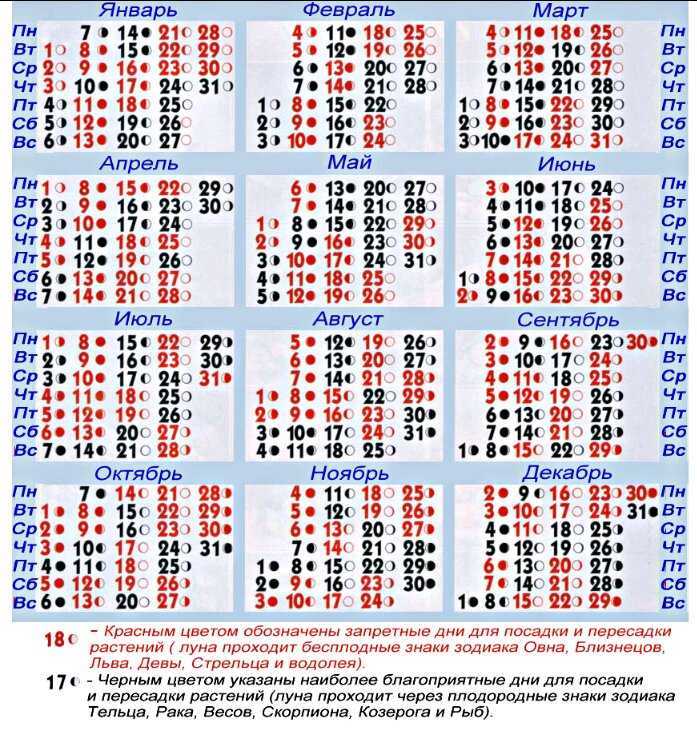 Календарь комнатных растений 2020 посадки и ухода лунный, сажать домашние, благоприятные дни, срок