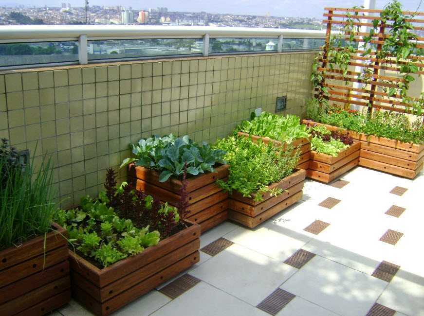 Выращивание клубники на балконе. Составляющие балконной грядки, какие условия необходимо создать для развития растений.
