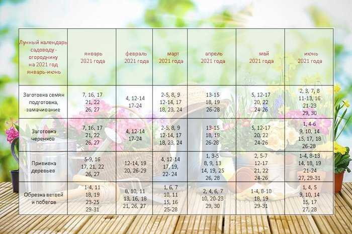 Лунный календарь огородника и садовода на 2021 год для урала, сибири и дальнего востока |