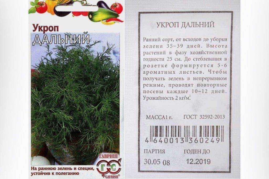 Укроп грибовский - описание сорта, фото и отзывы - журнал "совхозик"
