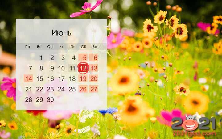 Лунный посевной календарь на июнь 2021 для садовода, огородника и цветовода