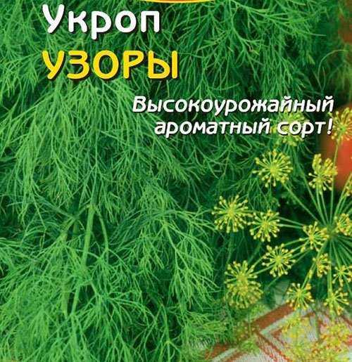 Укроп летний хит - описание сорта, фото и отзывы - журнал "совхозик"