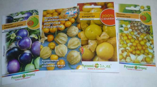 Физалис ананасовый: описание сорта, особенности выращивания и посадки, отзывы, фото