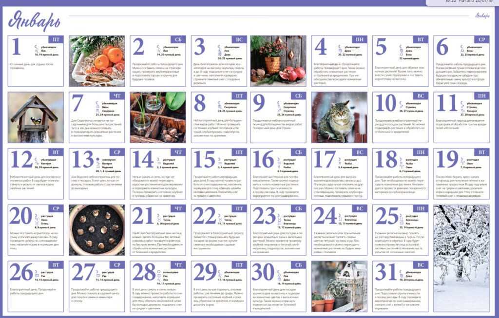 Лунный посевной календарь на 2021 год для огородника, садовода, цветовода