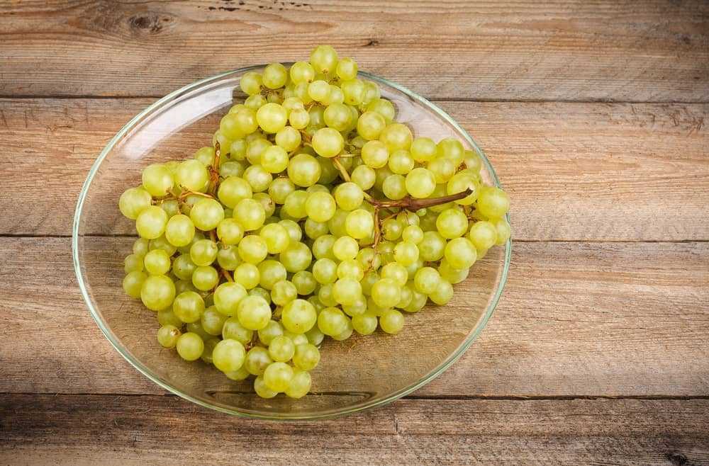 Виноград валек: сортовая характеристика, особенности посадки и ухода