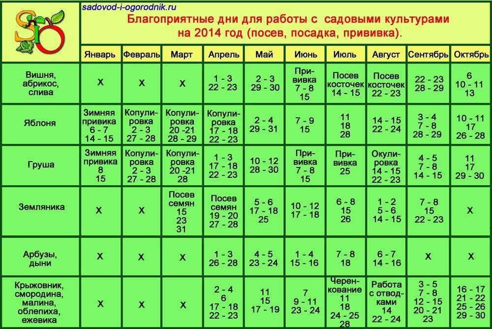 Лунный посевной календарь 2021 года по месяцам для огородников сибири и урала: таблица посевов овощей, зелени, цветов