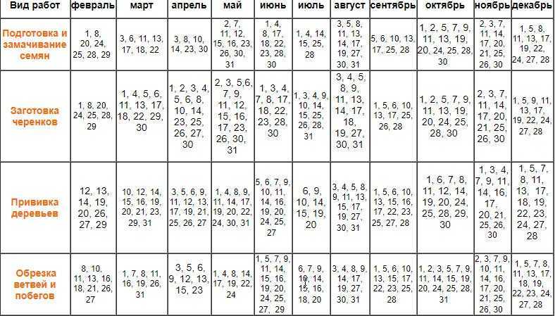 Лунный календарь огородника и садовода на май 2021 года