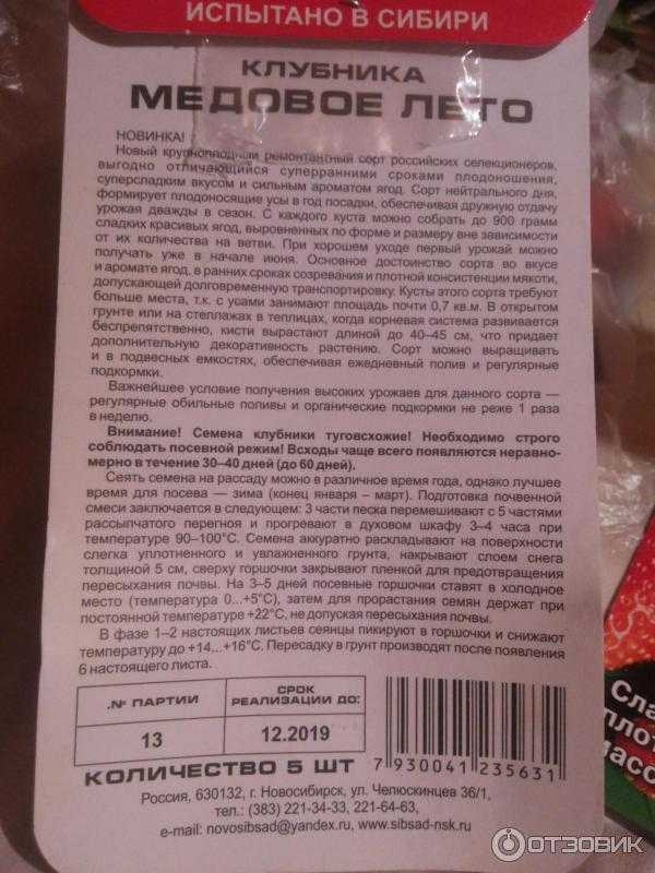 Клубника елизавета и ее ремейк — елизавета 2: в чем отличия?