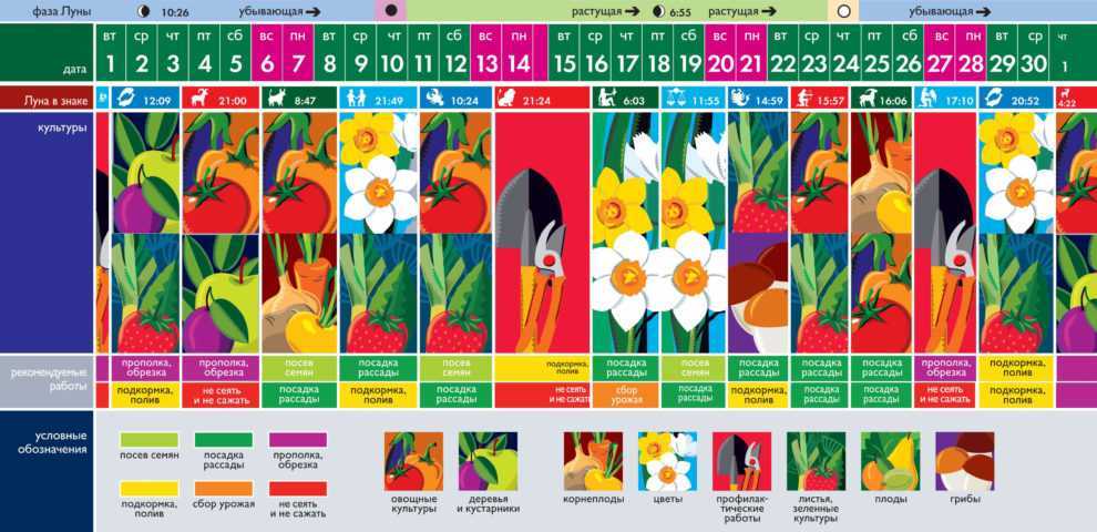 Лунный посевной календарь на 2021 год: садовода, огородника, таблица посева