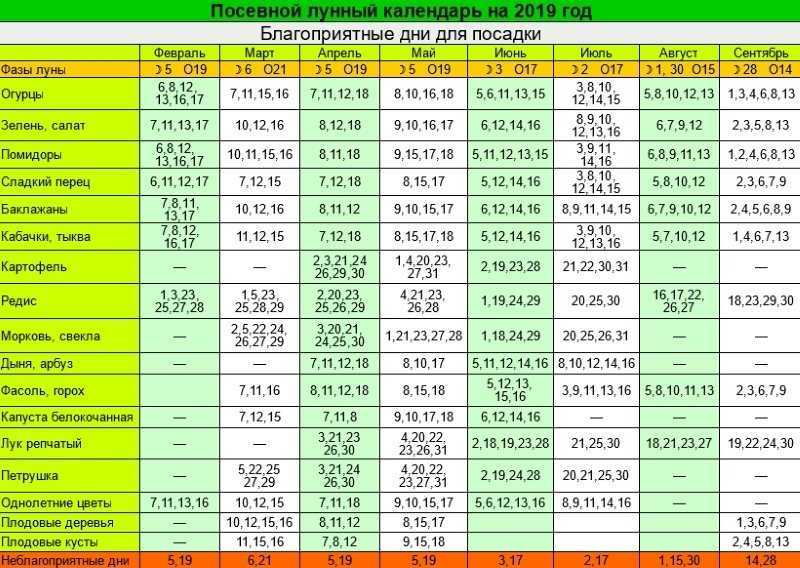 Календарь садовода на 2021 год и посадочные дни для западной сибири: особенности региона и благоприятные дни по лунным фазам