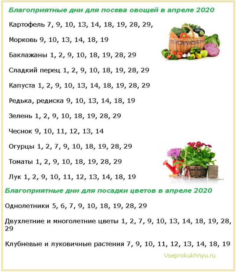 Лунный посевной календарь садоводов, огородников, цветоводов на май 2020 года (таблица)