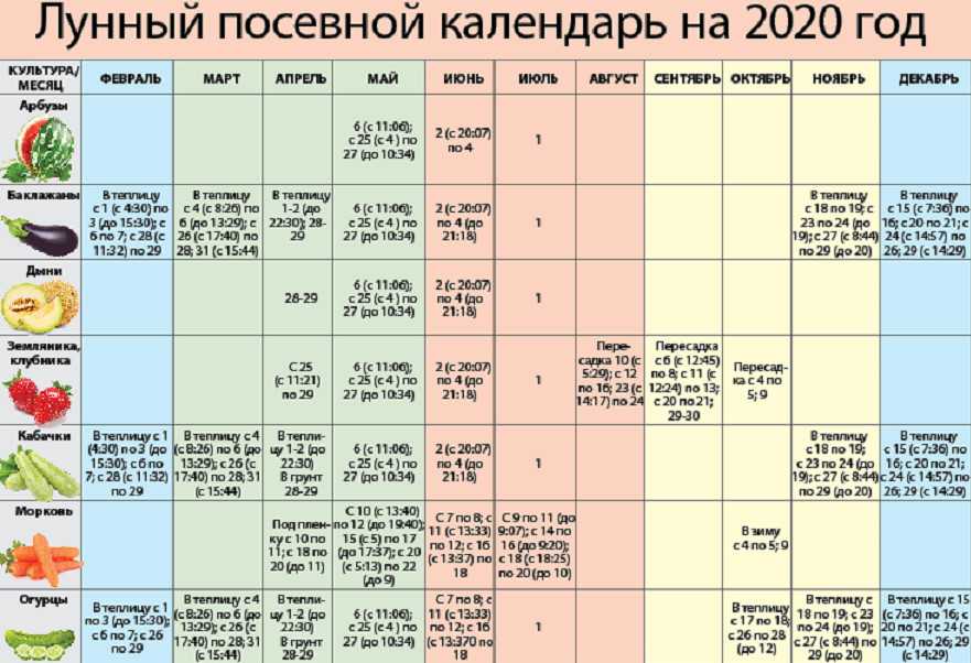 Лунный календарь по месяцам комнатного цветовода на 2021 год: таблица благоприятных дней для ухода за цветами