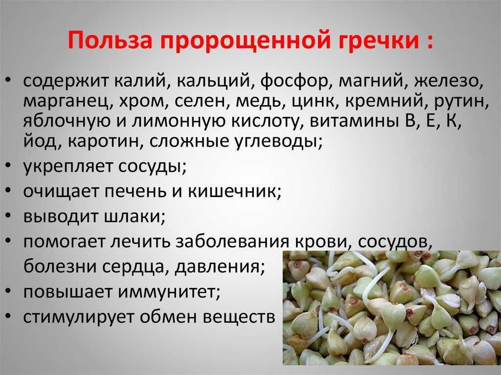 Проростки: польза и вред | станислав милевич