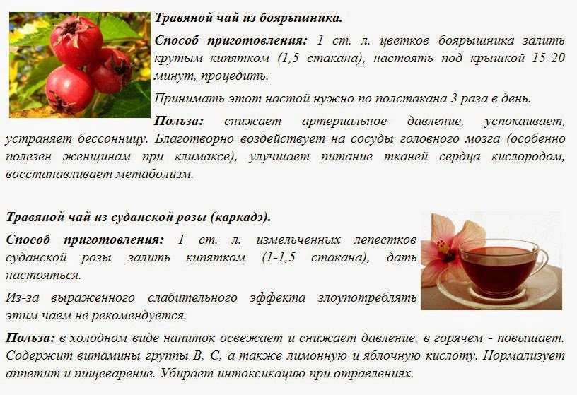 Боярышник на зиму: рецепты приготовления компота и варенья из ягод