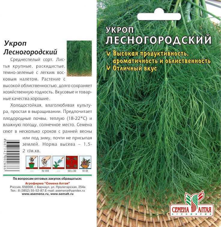 Укроп геркулес: характеристика и описание сорта, фото, отзывы, выращивание и уход
