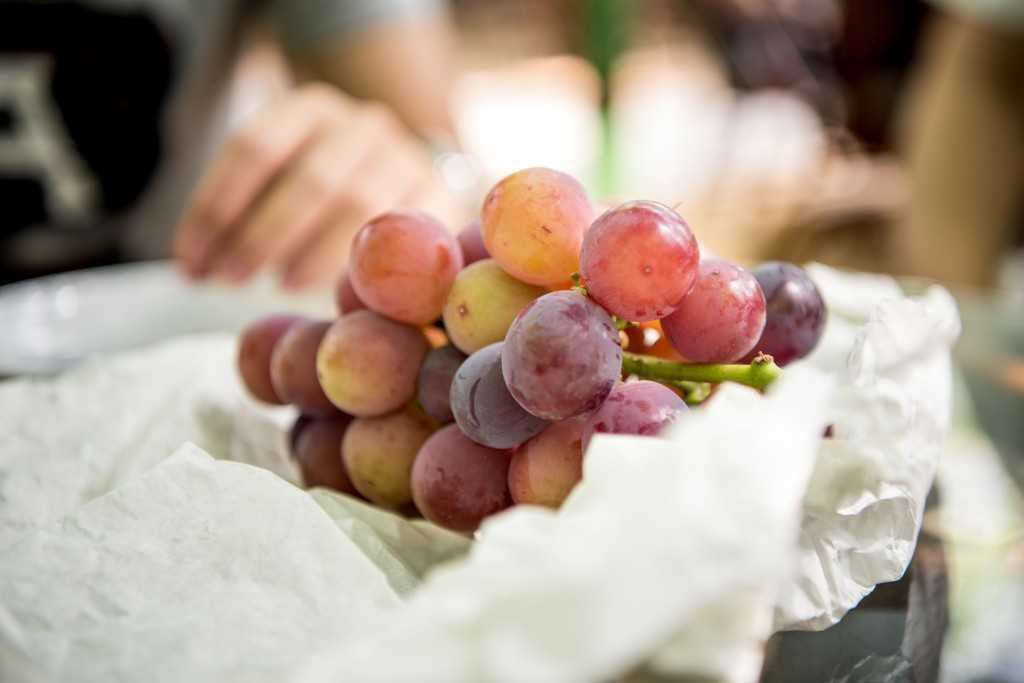 Виноград тасон: распишем по пунктам