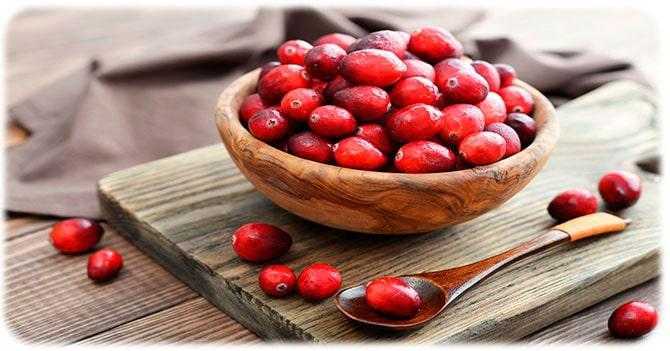 Клюква: царская ягода доступная каждому - польза и вред для организма