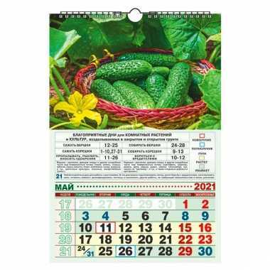 Лунный посевной календарь 2021: таблица посадок садовода и огородника