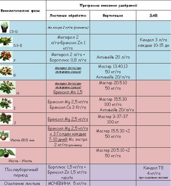 Чем подкормить жимолость после плодоношения: правила выбора удобрения, использование фосфорных, калийных препаратов и органики. Народные средства для питания ягодного кустарника.