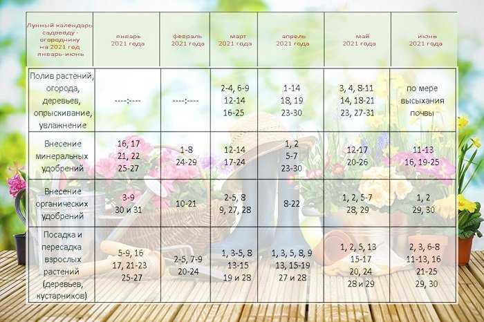 Лунный посевной календарь садовода, огородника и цветовода на 2021 год