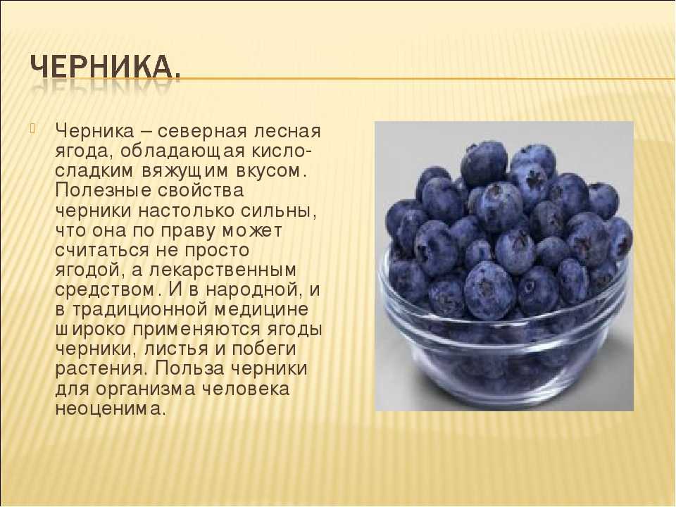 Голубика: полезные свойства и противопоказания для женщин, для мужчин, польза ягод, листьев