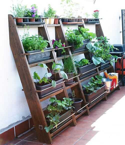 Выращивание клубники на балконе: советы и рекомендации