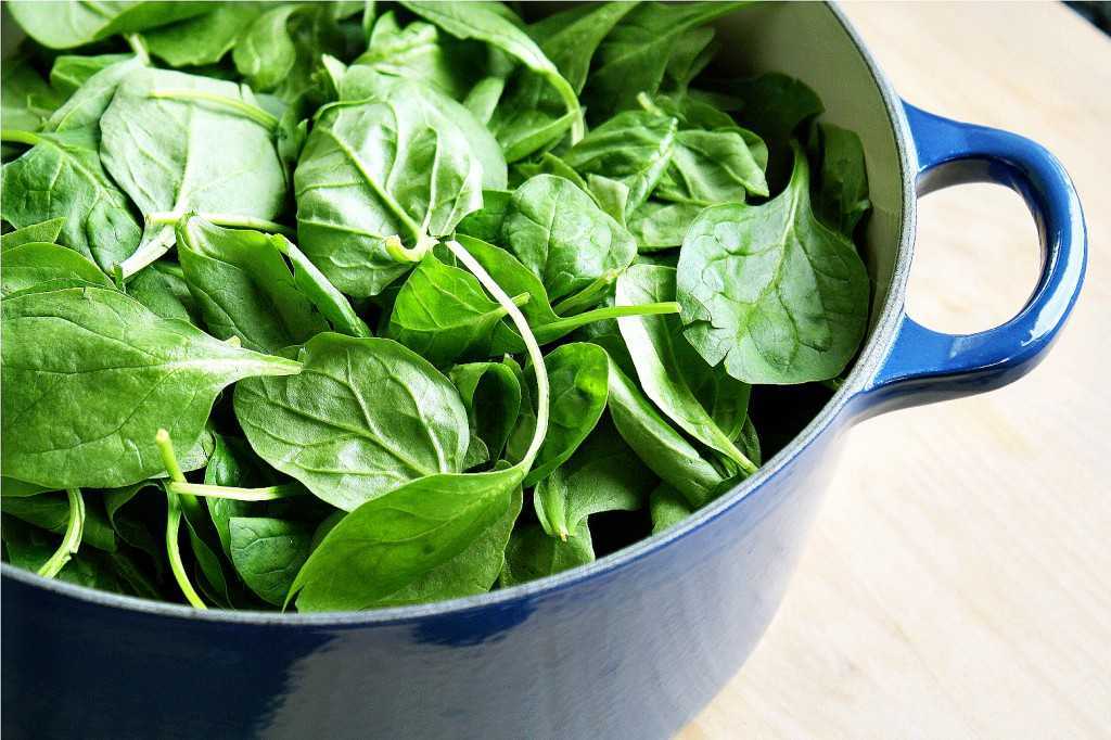 Можно ли есть шпинат при грудном вскармливании и чем полезен? пошаговые рецепты по приготовлению блюд