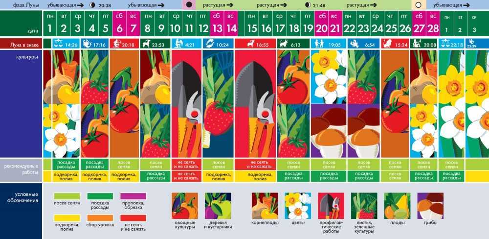 Лунный посевной календарь на 2021 год садовода и огородника