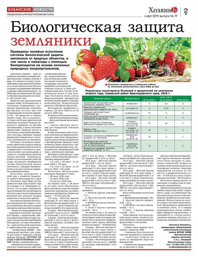 ✅ земляника золушка: выращивание, описание сорта, фото и отзывы - cvetochki-penza.ru