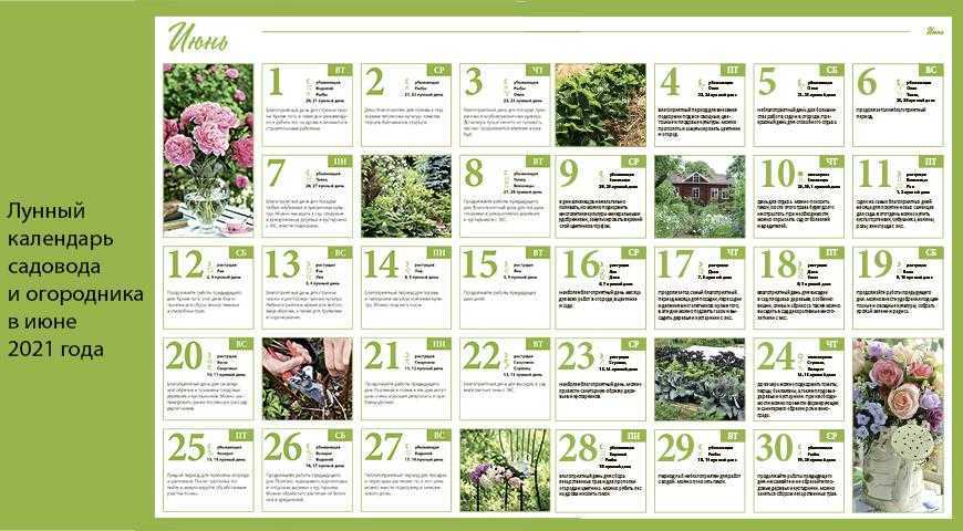 Май 2021 – лунный посевной календарь садовода, огородника и цветовода!
