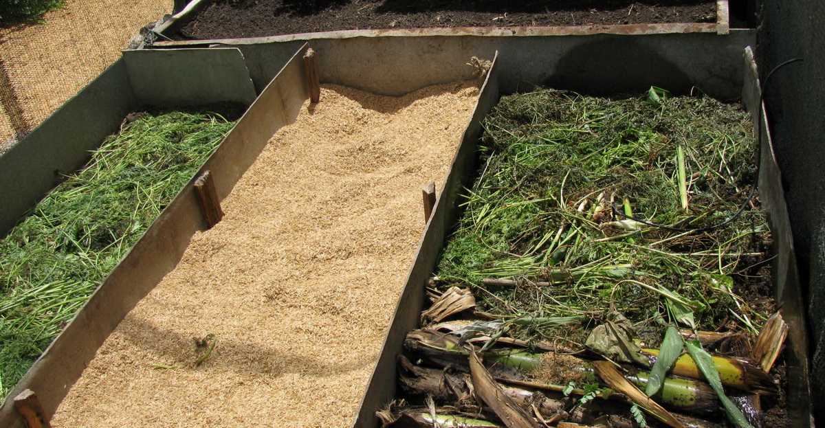 Мульчирование почвы скошенной травой: нюансы подготовки мульчи и ее применения для разных культур