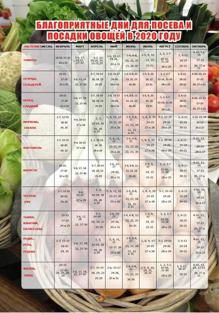 Лунный посевной календарь огородника и садовода на 2021 год по месяцам в таблицах | qulady